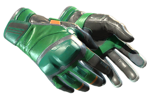 ★ Moto Gloves | Turtle - Factory New   CS2 Skin