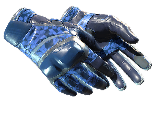 ★ Moto Gloves | Polygon - Factory New   CS2 Skin
