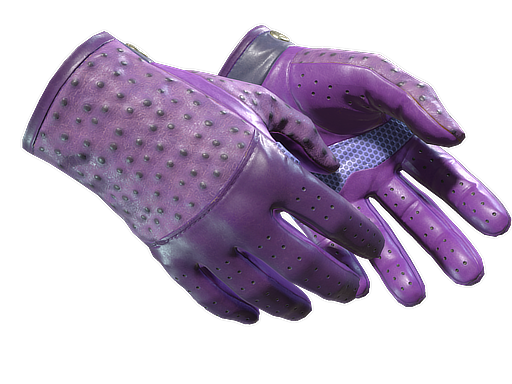 ★ Driver Gloves | Plum Quill - Factory New   CS2 Skin