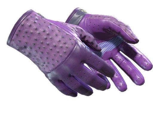 ★ Driver Gloves | Plum Quill - Factory New   CS2 Skin