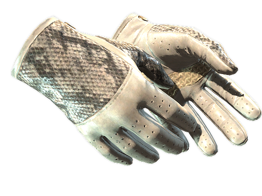 ★ Driver Gloves | King Snake - Factory New   CS2 Skin