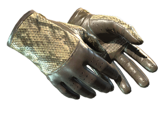 ★ Driver Gloves | Diamondback - Factory New   CS2 Skin