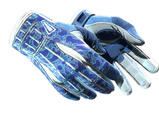 ★ Sport Gloves | Amphibious