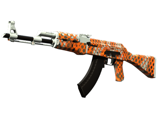 AK-47 | Safety Net
