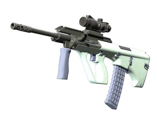 AUG | Storm - Factory New CS2 Skin
