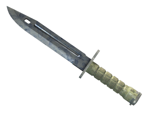 ★ Bayonet | Stained