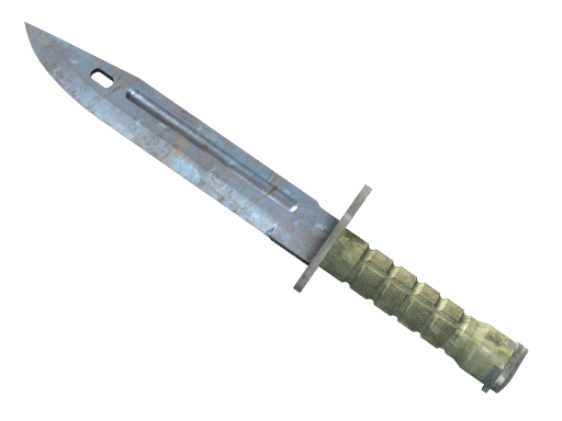 ★ Bayonet | Rust Coat