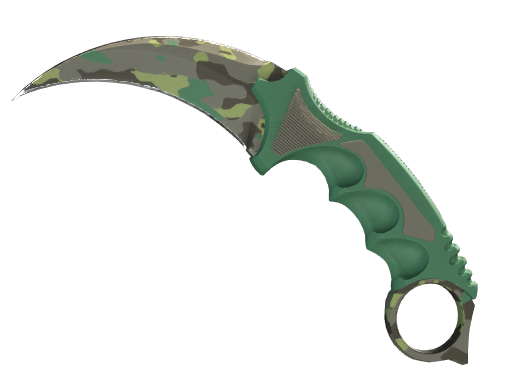 ★ Karambit | Boreal Forest - Factory New   CS2 Skin