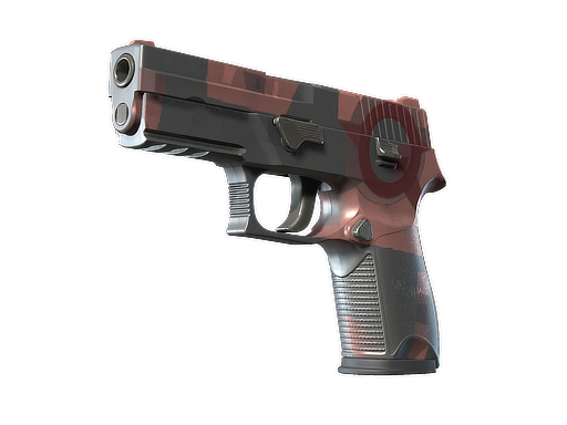 P250 | Constructivist