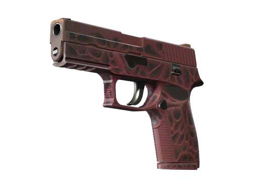 P250 | Contaminant - Factory New   CS2 Skin