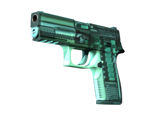 P250 | X-Ray
