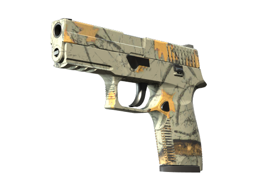 P250 | Modern Hunter