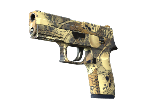 P250 | Contamination