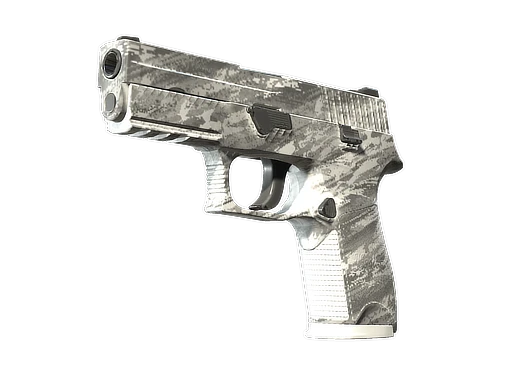 P250 | Sleet