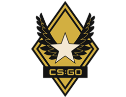 The Winter Offensive Collection CS2 Collection - 13 Skins