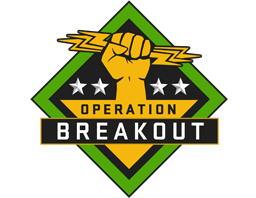 The Breakout Collection CS2 Collection - 14 Skins
