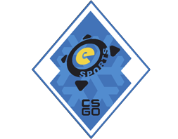 The eSports 2013 Winter Collection CS2 Collection - 12 Skins