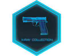 The X-Ray Collection CS2 Collection - 1 Skins